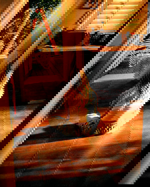 sydney_sweeney image ~ Altpins