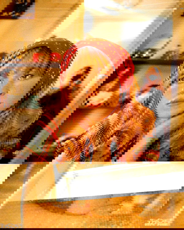 sydney_sweeney image ~ Altpins