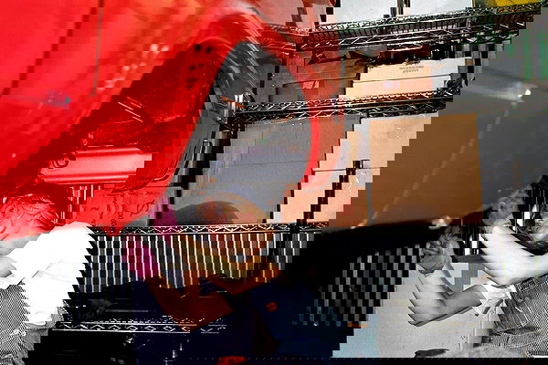 sydney_sweeney image ~ Altpins