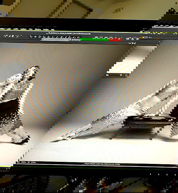 sydney_sweeney image ~ Altpins