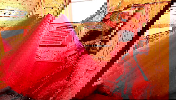 sydney_sweeney image ~ Altpins