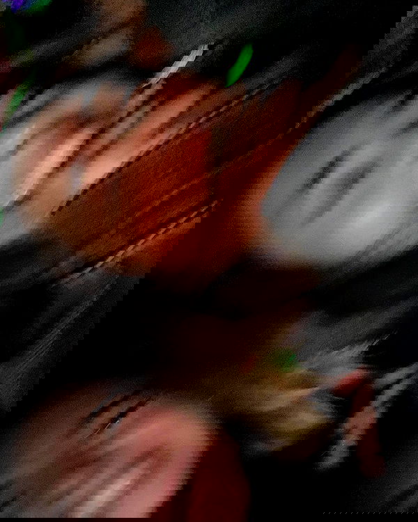 sydney_sweeney image ~ Altpins