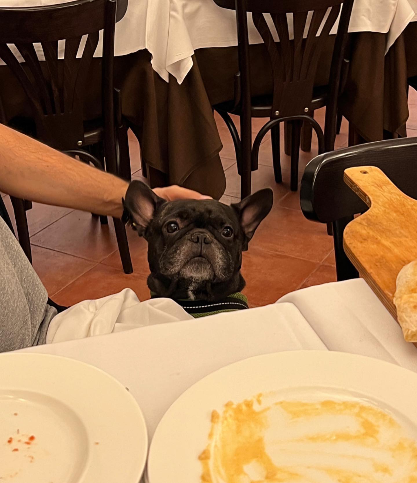 sydney_sweeney instagram image archive image