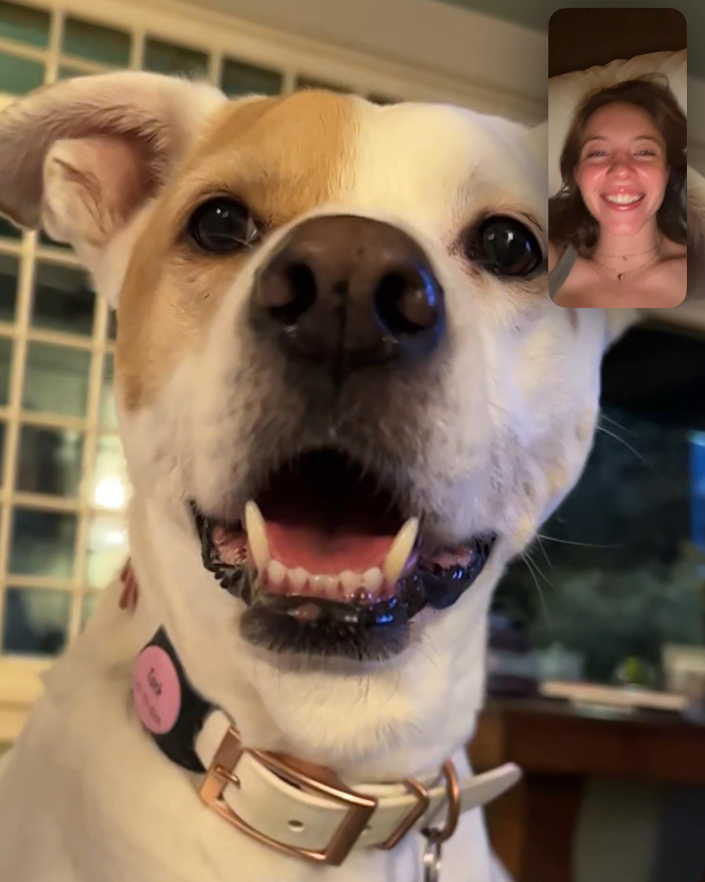 sydney_sweeney instagram image archive image