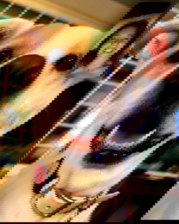 sydney_sweeney image ~ Altpins