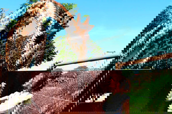 sydney_sweeney image ~ Altpins