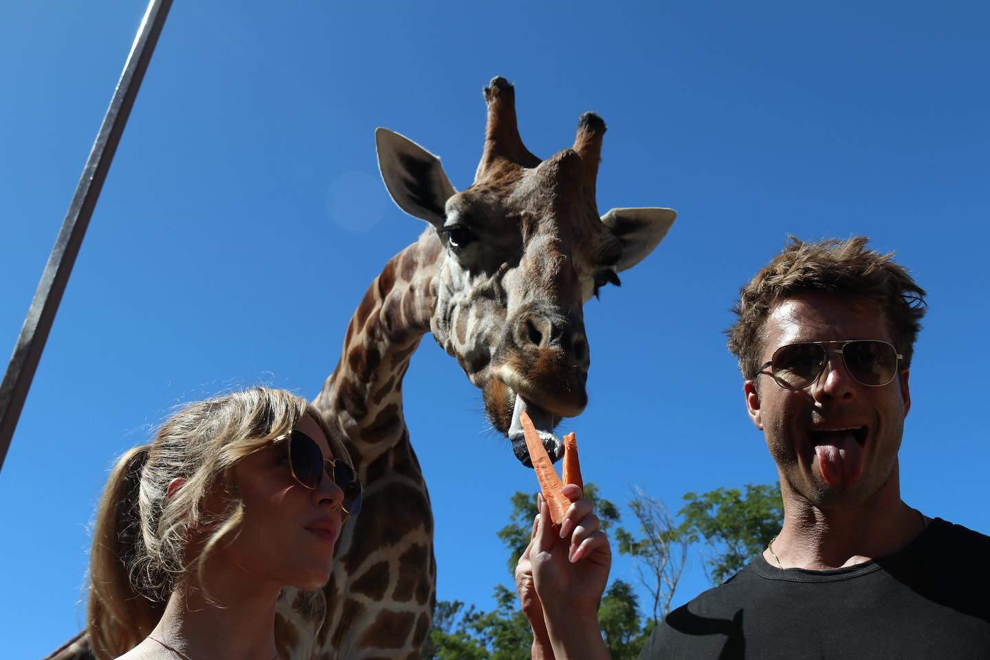 sydney_sweeney instagram image archive image