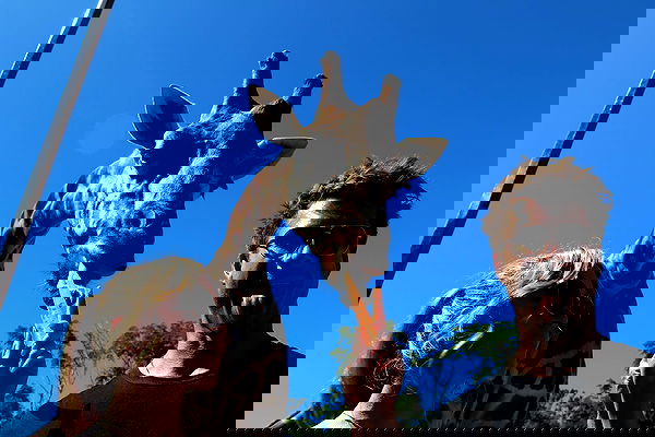 sydney_sweeney image ~ Altpins