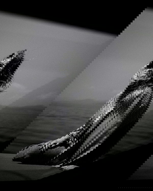 sydney_sweeney image ~ Altpins