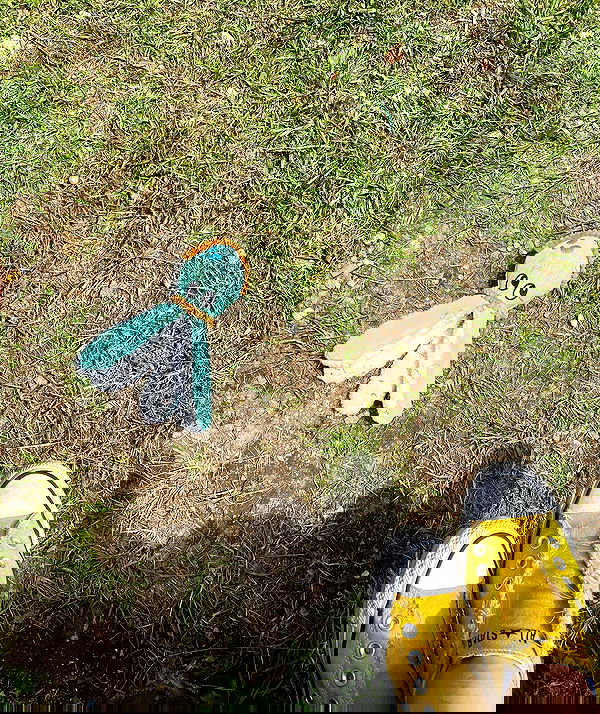 sydney_sweeney image ~ Altpins