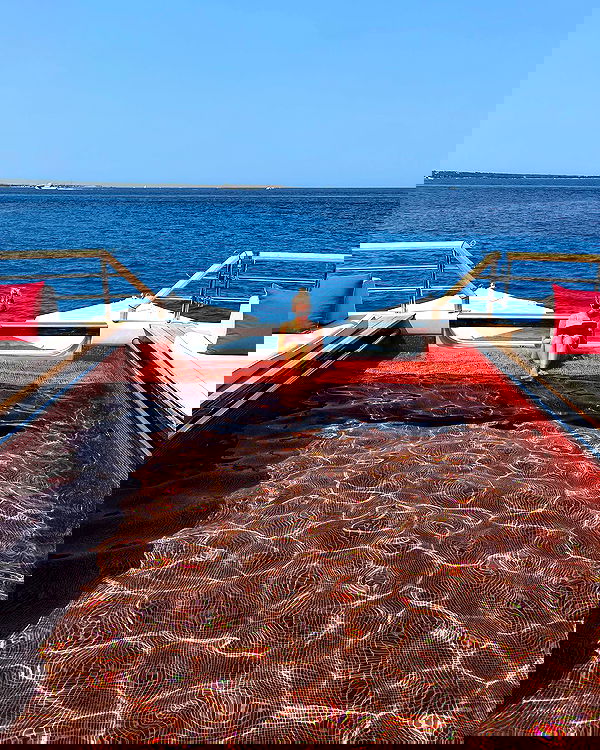 sydney_sweeney image ~ Altpins