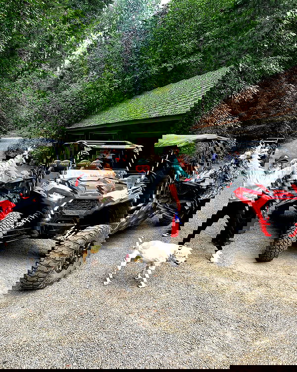 sydney_sweeney image ~ Altpins