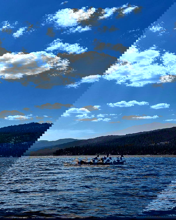 sydney_sweeney image ~ Altpins