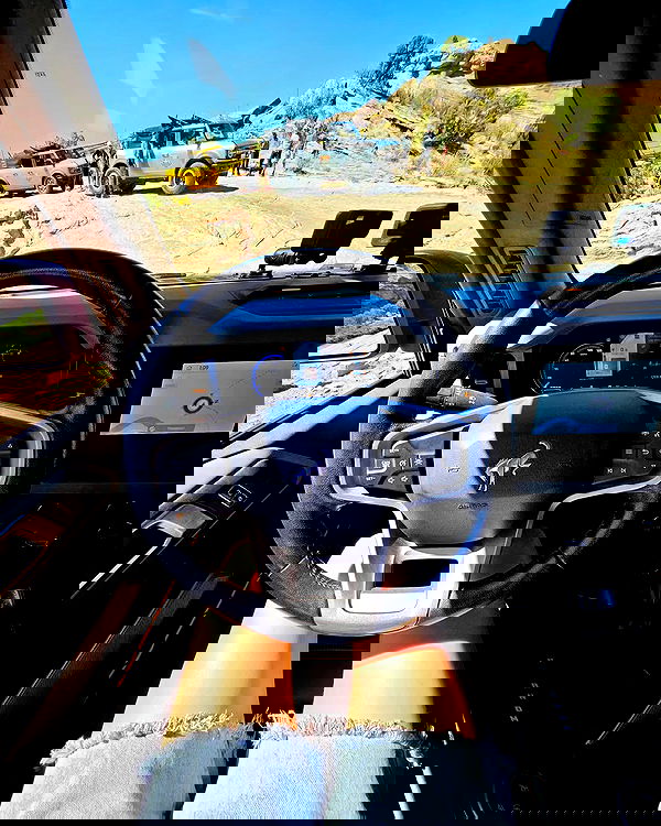 sydney_sweeney image ~ Altpins