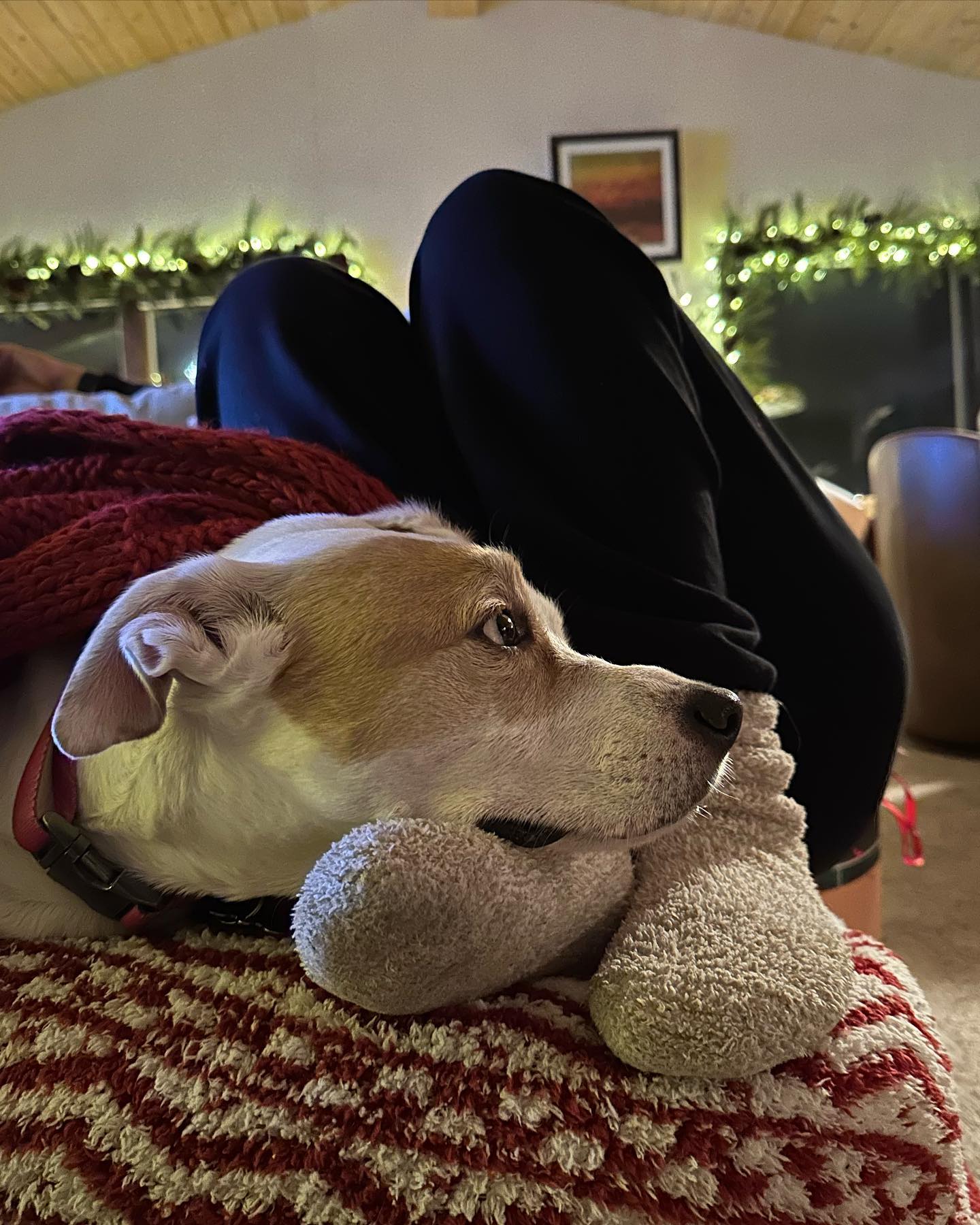 sydney_sweeney instagram image archive image