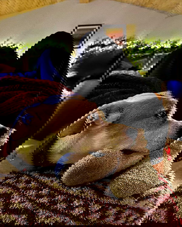 sydney_sweeney image ~ Altpins