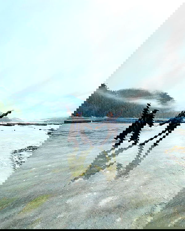 sydney_sweeney image ~ Altpins