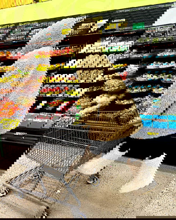 sydney_sweeney image ~ Altpins