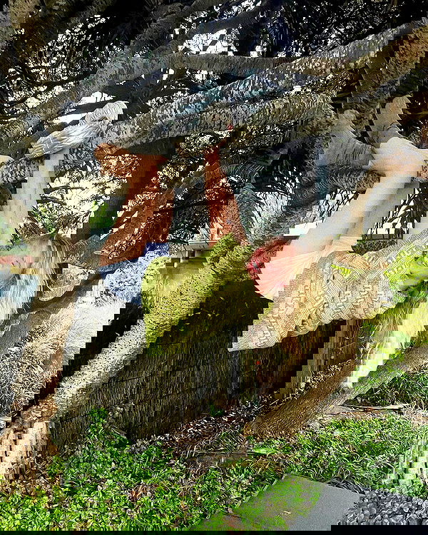 sydney_sweeney image ~ Altpins