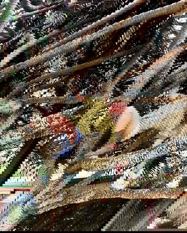 sydney_sweeney image ~ Altpins