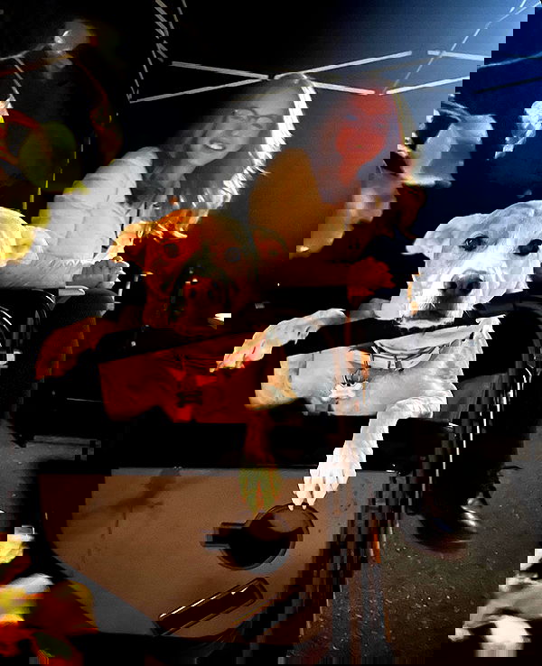 sydney_sweeney image ~ Altpins