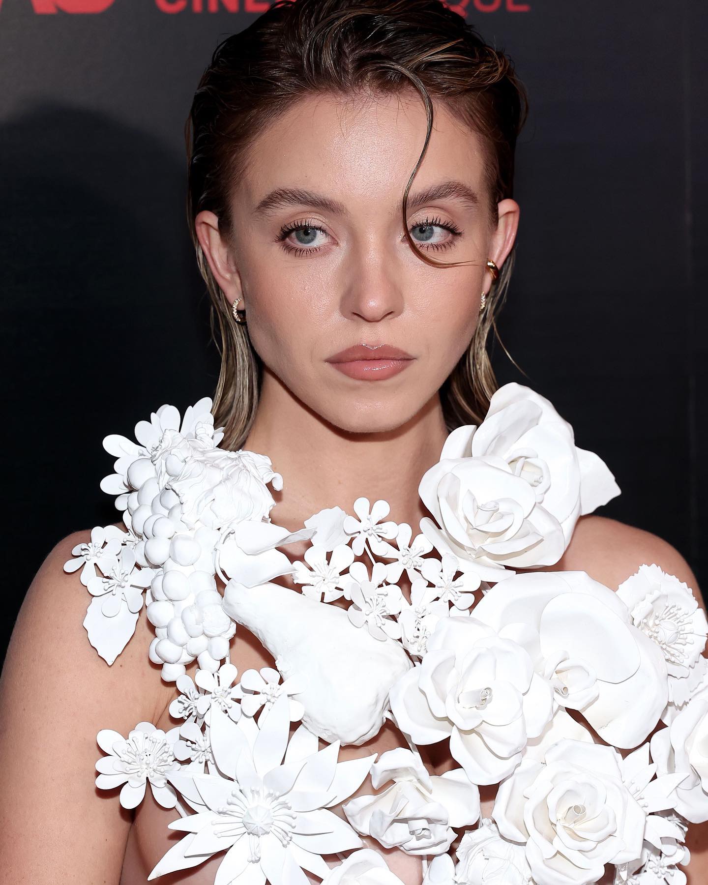 sydney_sweeney instagram image archive image