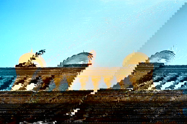 sydney_sweeney image ~ Altpins