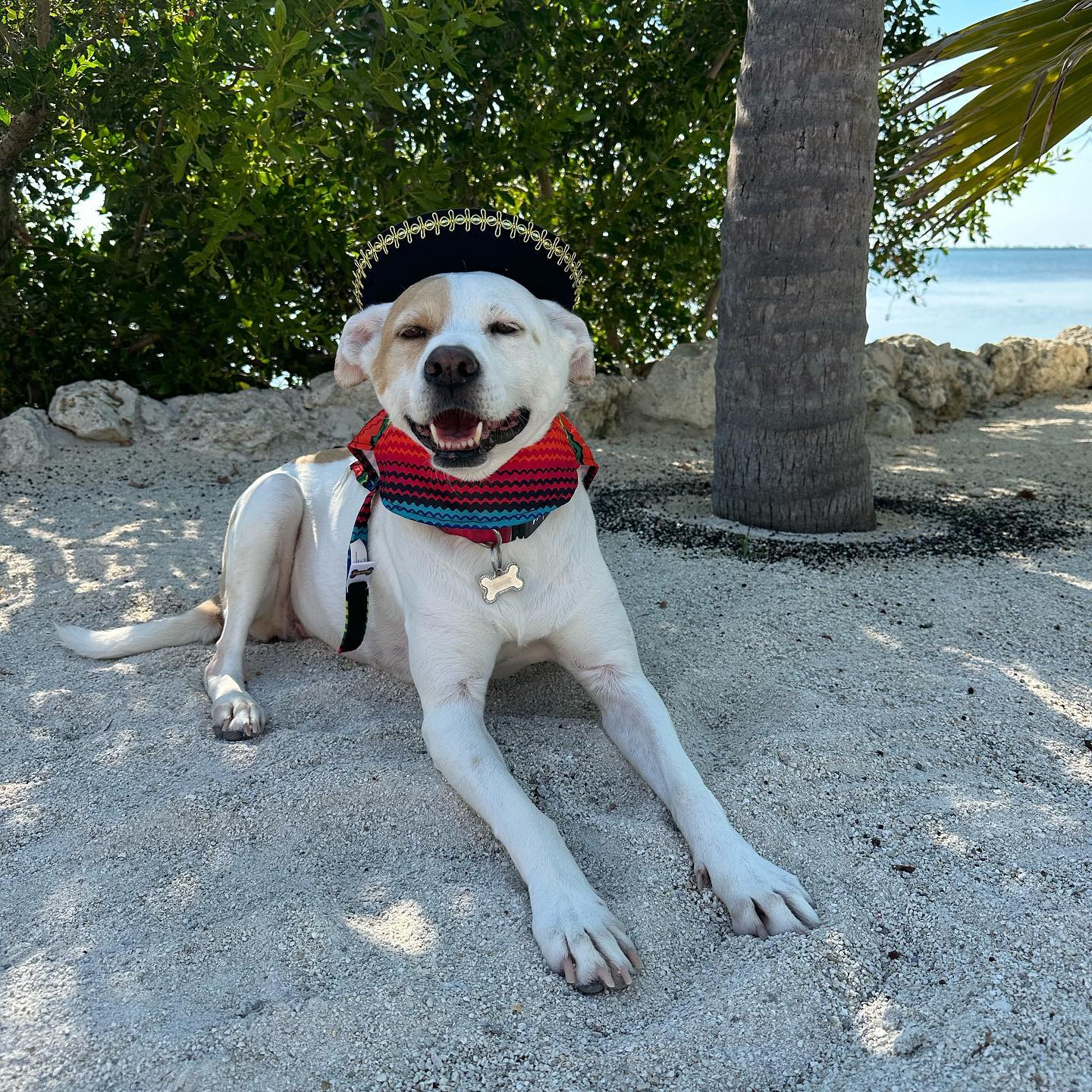 sydney_sweeney instagram image archive image