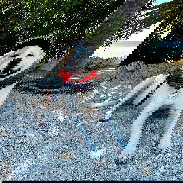 sydney_sweeney image ~ Altpins