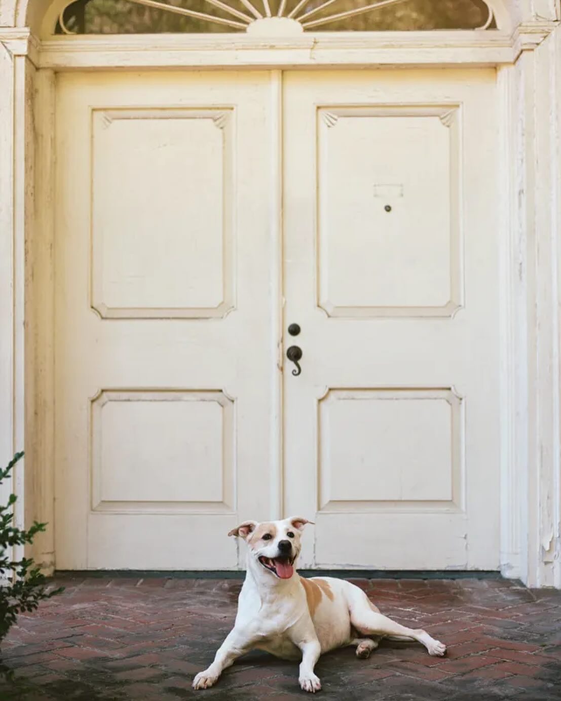 sydney_sweeney instagram image archive image