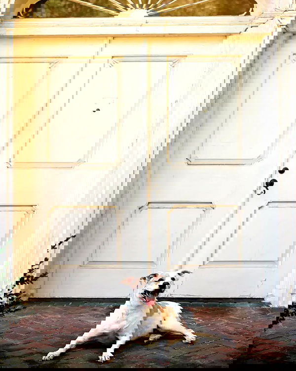 sydney_sweeney image ~ Altpins