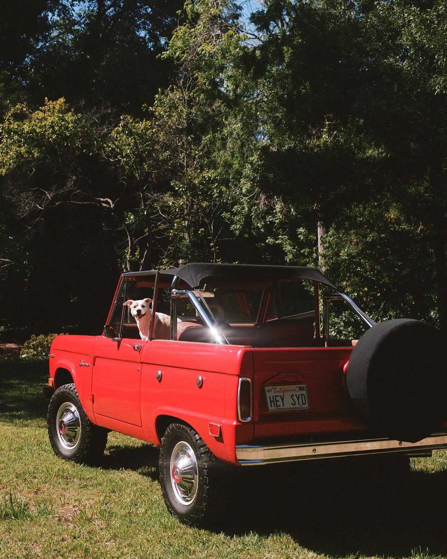 sydney_sweeney instagram image archive image