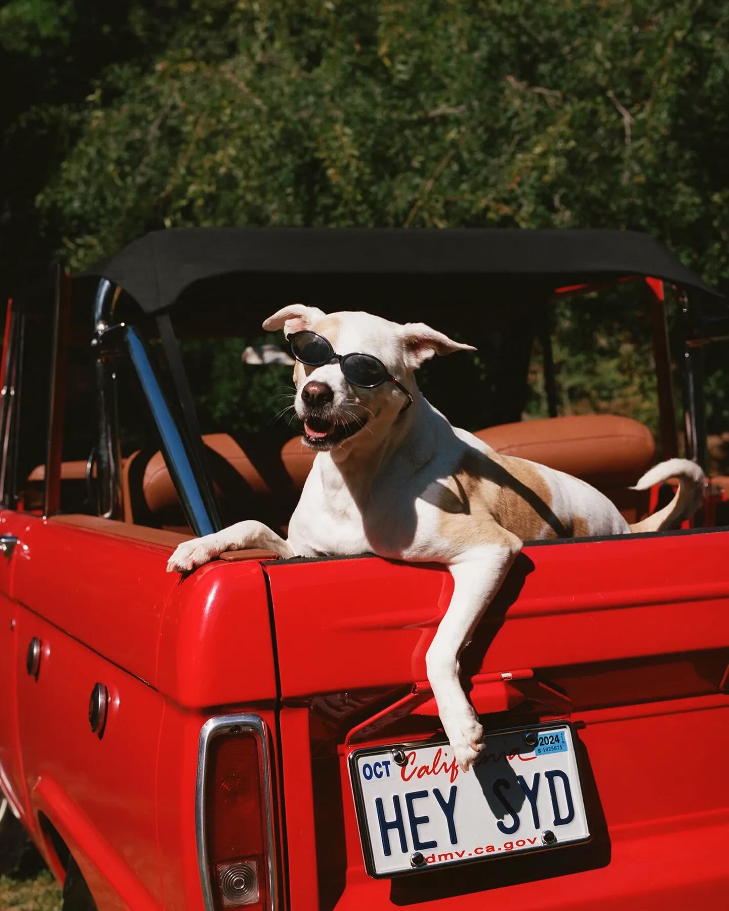 sydney_sweeney instagram image archive image