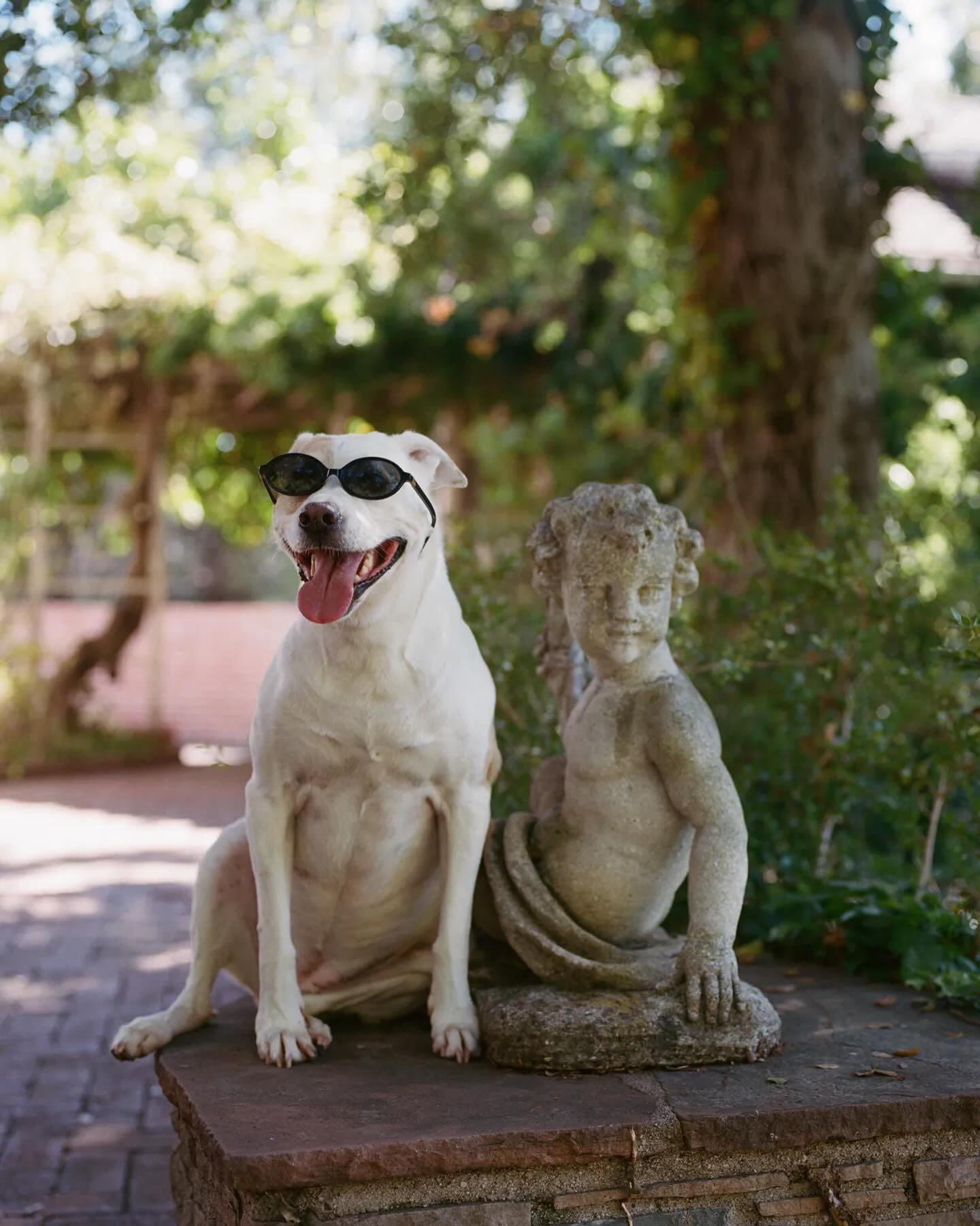 sydney_sweeney instagram image archive image