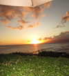 tabathahowe_ Altpins Profile Picture