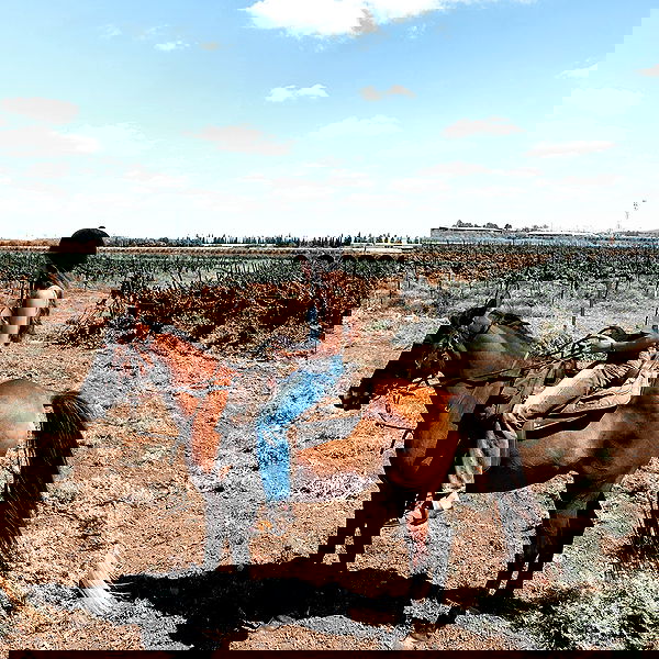 talia_davidov talia_davidov archive image