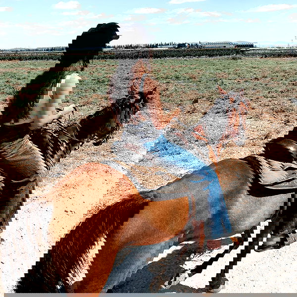 talia_davidov talia_davidov archive image