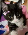 taliah.wilson Altpins Profile Picture