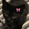 taliah.wilson Altpins Profile Picture