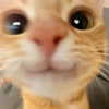 taliah.wilson Altpins Profile Picture