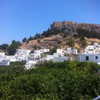 talll_cohen Altpins Profile Picture