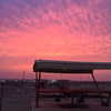 talll_cohen Altpins Profile Picture
