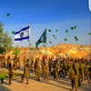 talll_cohen Altpins Profile Picture