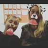 talll_cohen Altpins Profile Picture