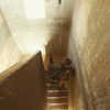 talll_cohen Altpins Profile Picture