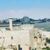 talll_cohen Altpins Profile Picture