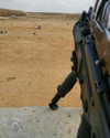 talll_cohen Altpins Profile Picture