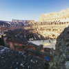 talll_cohen Altpins Profile Picture