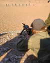 talll_cohen Altpins Profile Picture