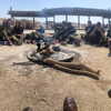 talll_cohen Altpins Profile Picture